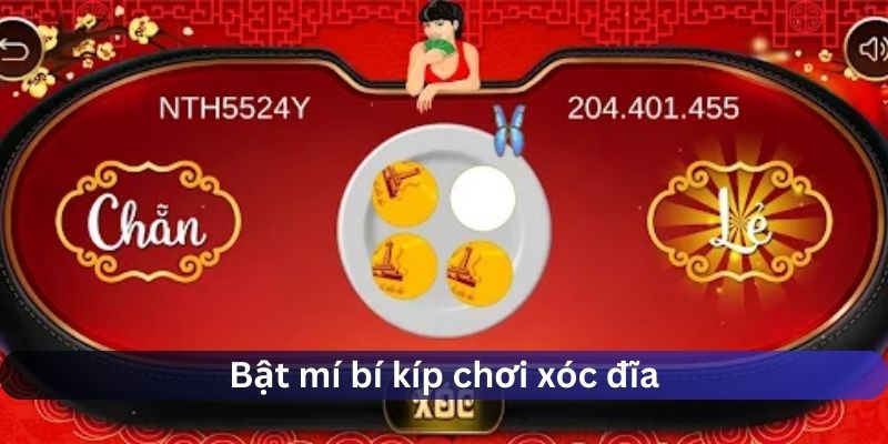 Bật mí bí kíp chơi xóc đĩa